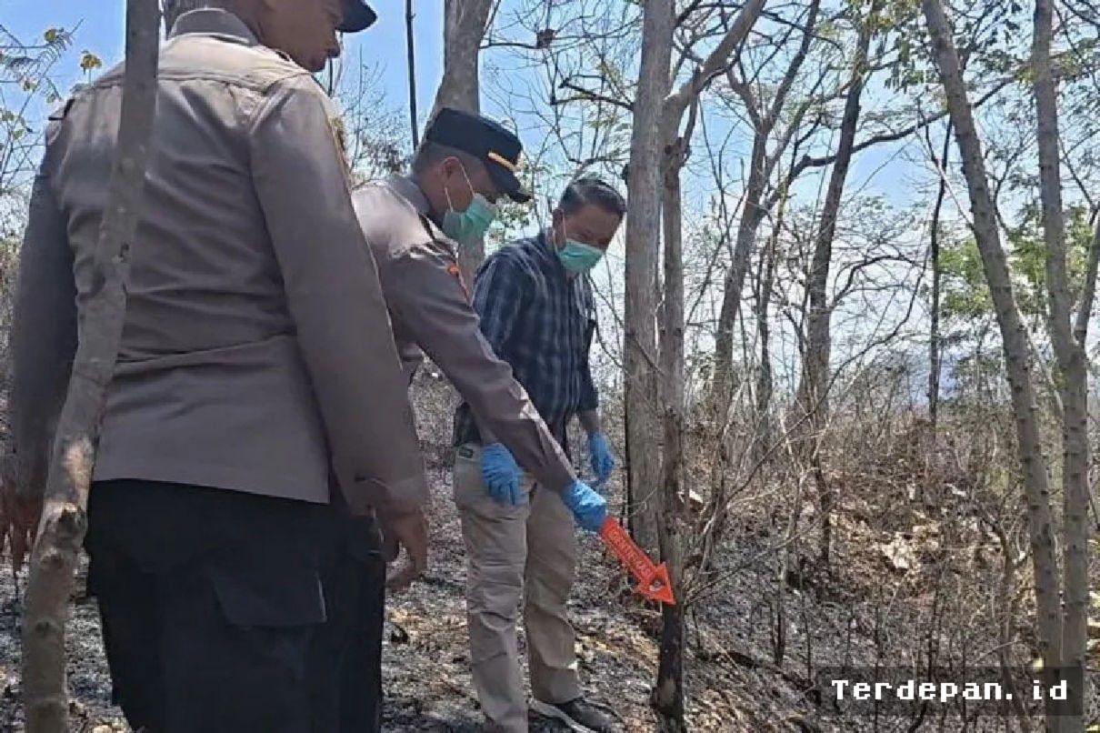 PONOROGO — Lansia Tewas Terjebak Kebakaran Lahan Jati di Sampung