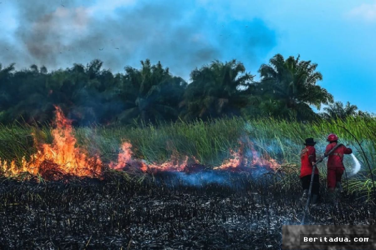 PFI Peringatkan Bahaya Kelelahan Bencana dan Desak Reformasi Penanganan