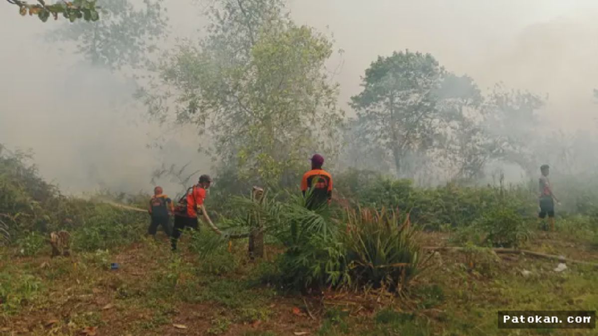 Palangka Raya — Satgas Karhutla Berjuang Padamkan Kebakaran Peatland Kereng Bangkirai