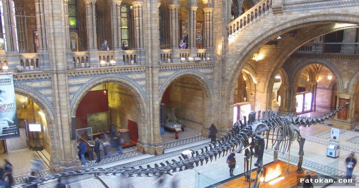 Museum London Buka Kembali Galeri Tertutup Era Perang Dunia