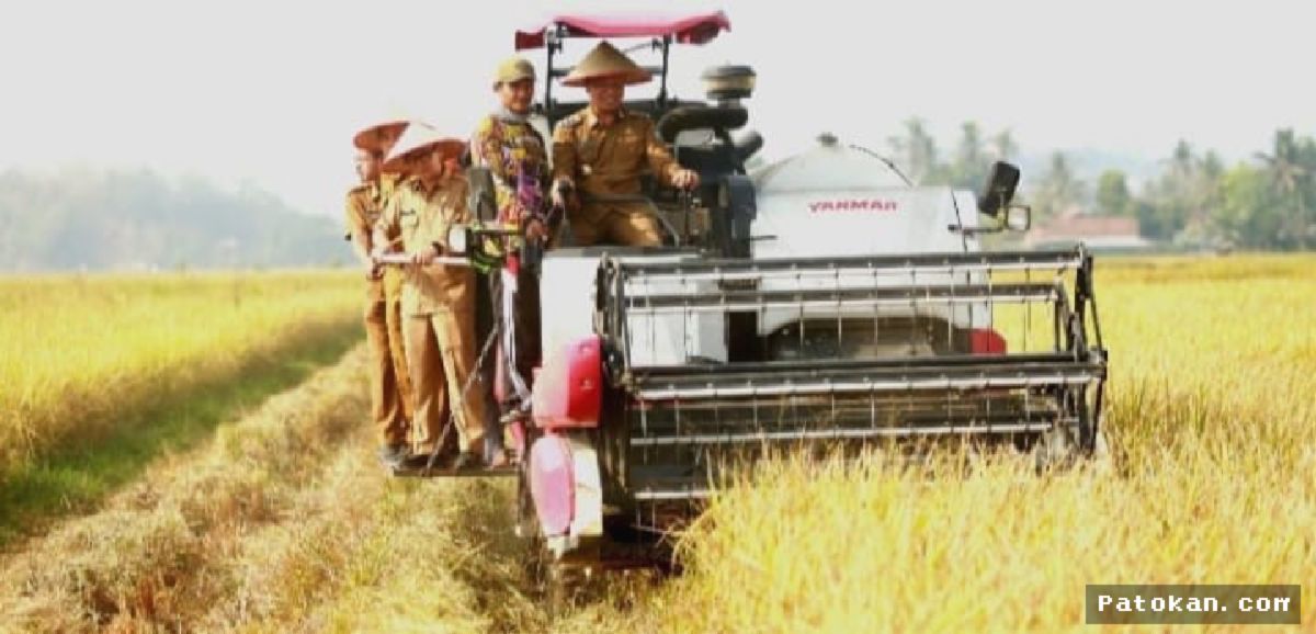 Pringsewu — Bupati Riyanto Dorong BUMDes Kelola Lahan Bengkok Lewat Corporate Farming