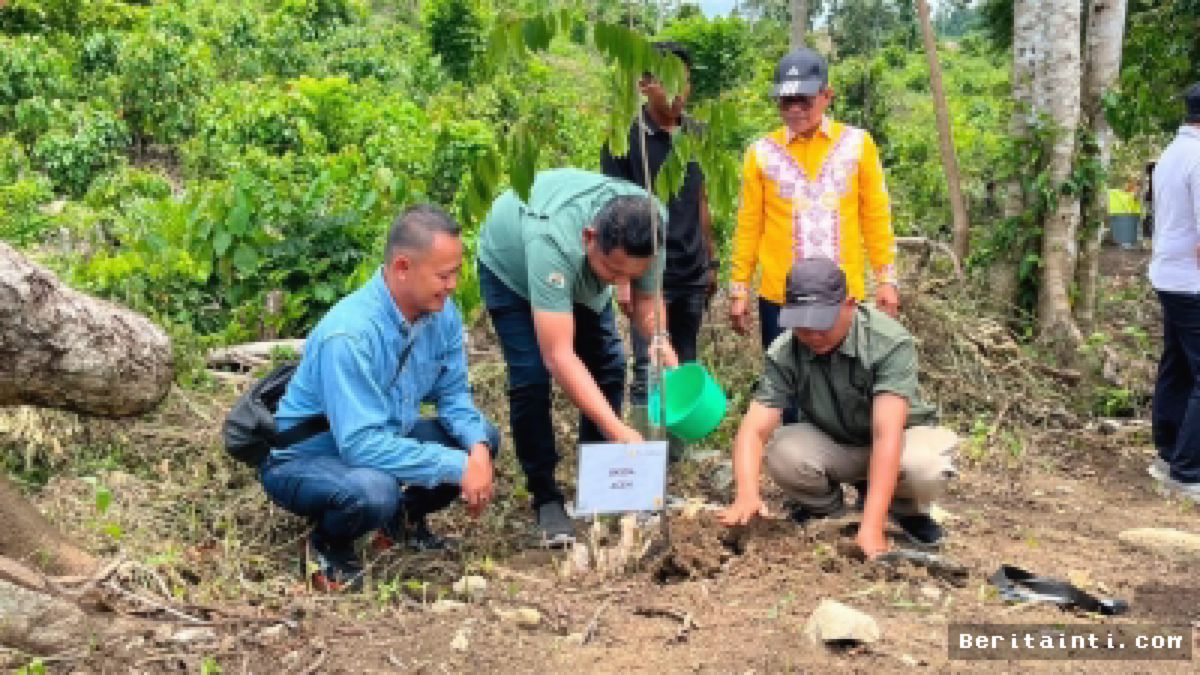 ACEH UTARA — PHE NSO Pulihkan Lahan Kritis Habitat Gajah