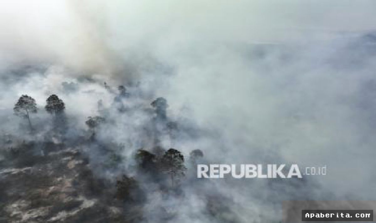 Menhut Raja Juli Soroti Pembakaran Ulang Lahan Pascakarhutla Berhasil Dipadamkan