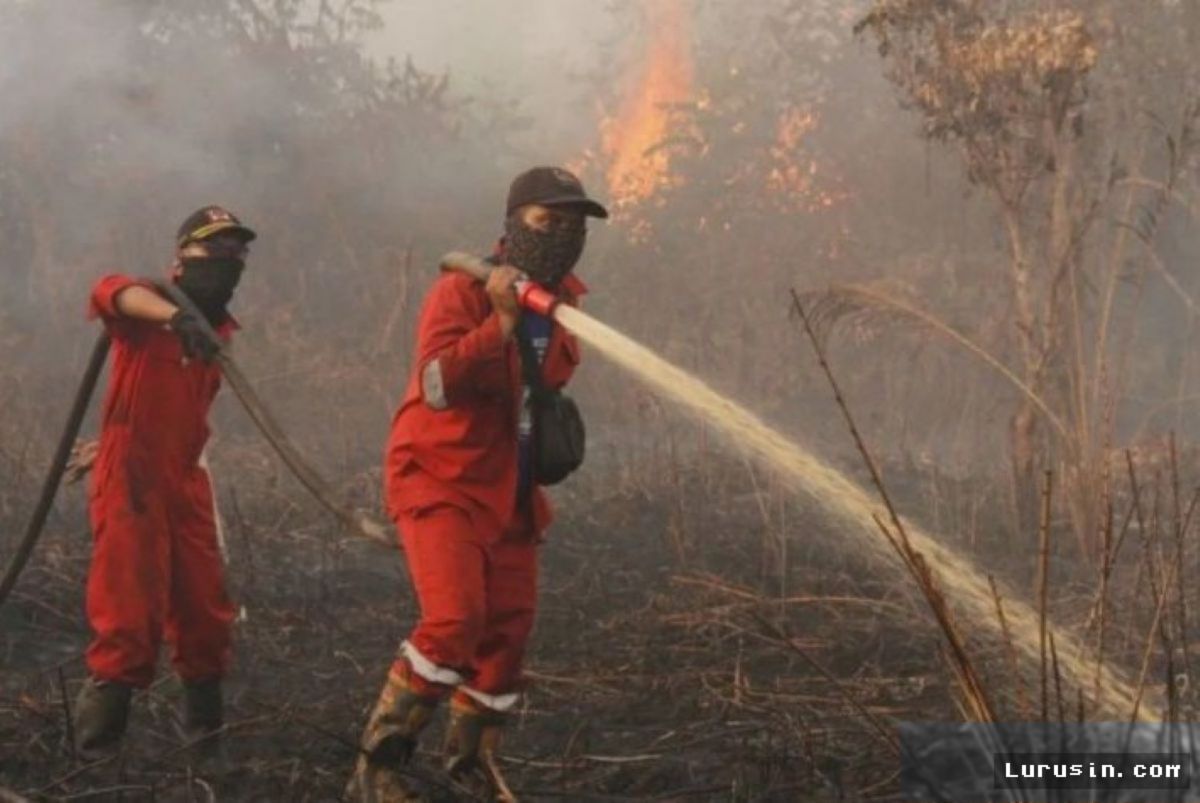 JAKARTA — Komisi IV DPR Puji Kinerja Manggala Agni Atasi Karhutla