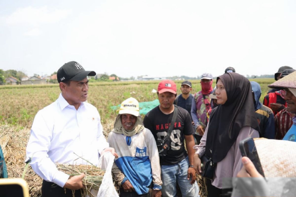 Mentan Amran Buka Akses Alsintan untuk Buruh Tani