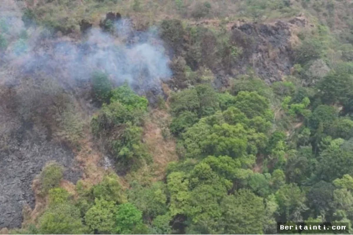 Kemenhut Berhasil Padamkan Kebakaran Hutan Gunung Ciremai Seluas 46 Hektare
