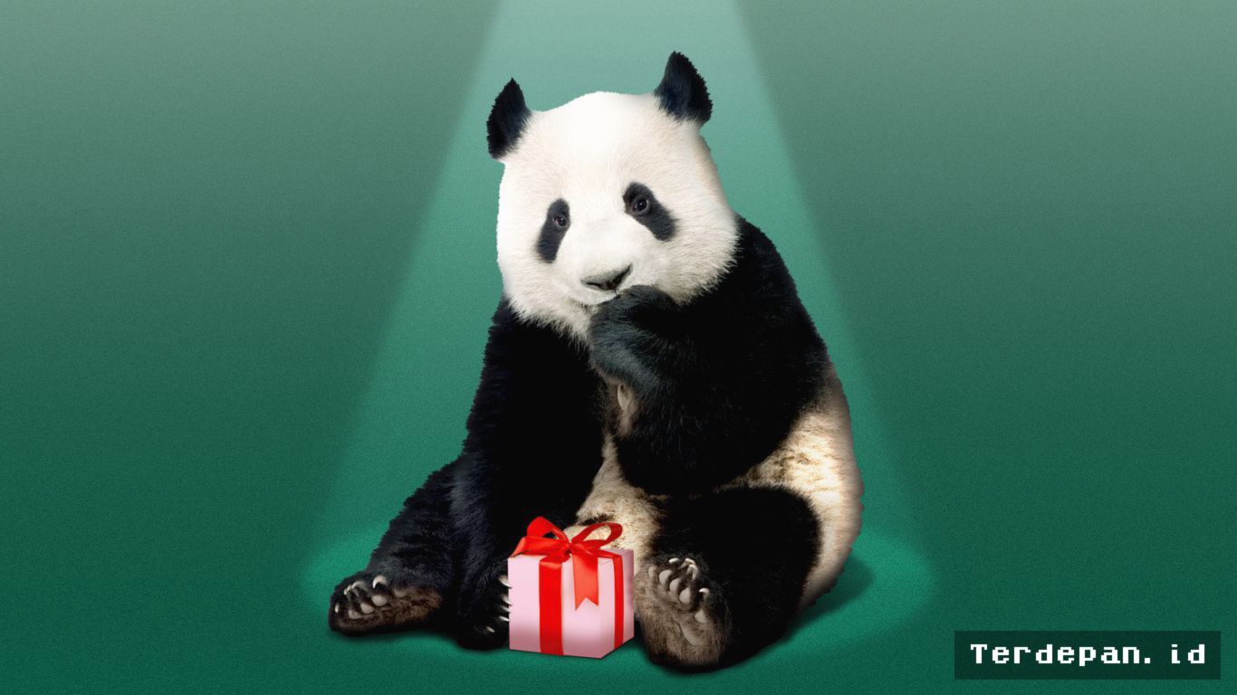 Xi Jinping Kirim Dua Panda ke Zoo Atlanta saat Berkunjung ke Washington