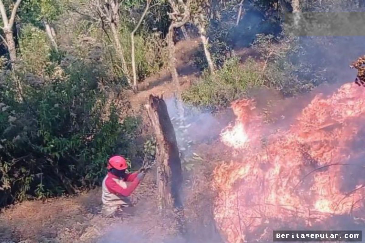 Asap Tebal dan Medan Terjal Hambat Pemadaman Karhutla Bromo-Butak