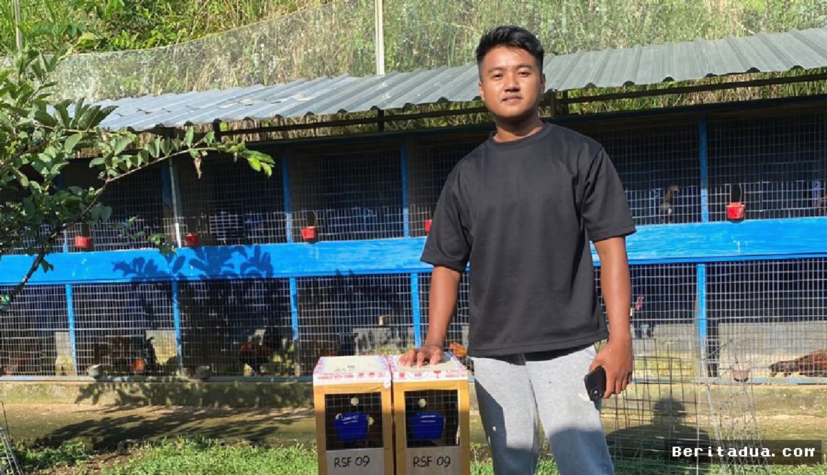 BALI — Wisudawan Unwar Sukses Ekspor Ternak Ayam ke Malaysia
