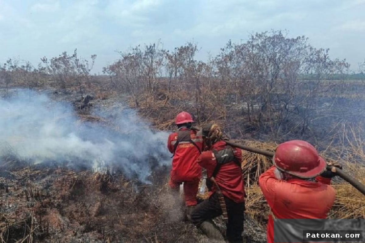 Titik Api Sumatera Padam, Kemenhut Perketat Pengendalian Karhutla di Kalimantan