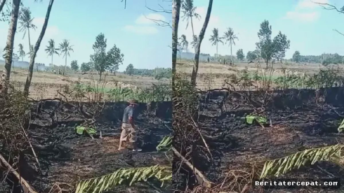 Lampung Utara: Petani Lansia Tewas Terjebak Kebakaran Lahan Sendiri
