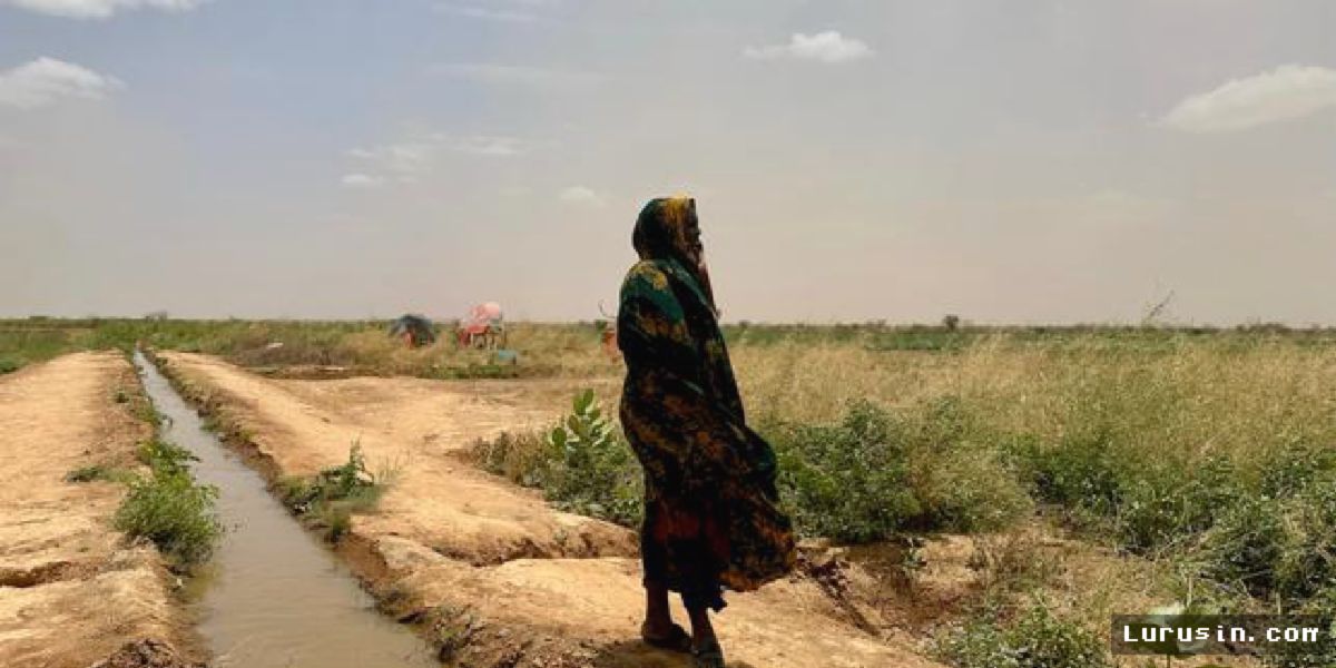 Kekeringan Ekstrem Paksa Penggembala Nomaden Ethiopia Beralih Menjadi Petani