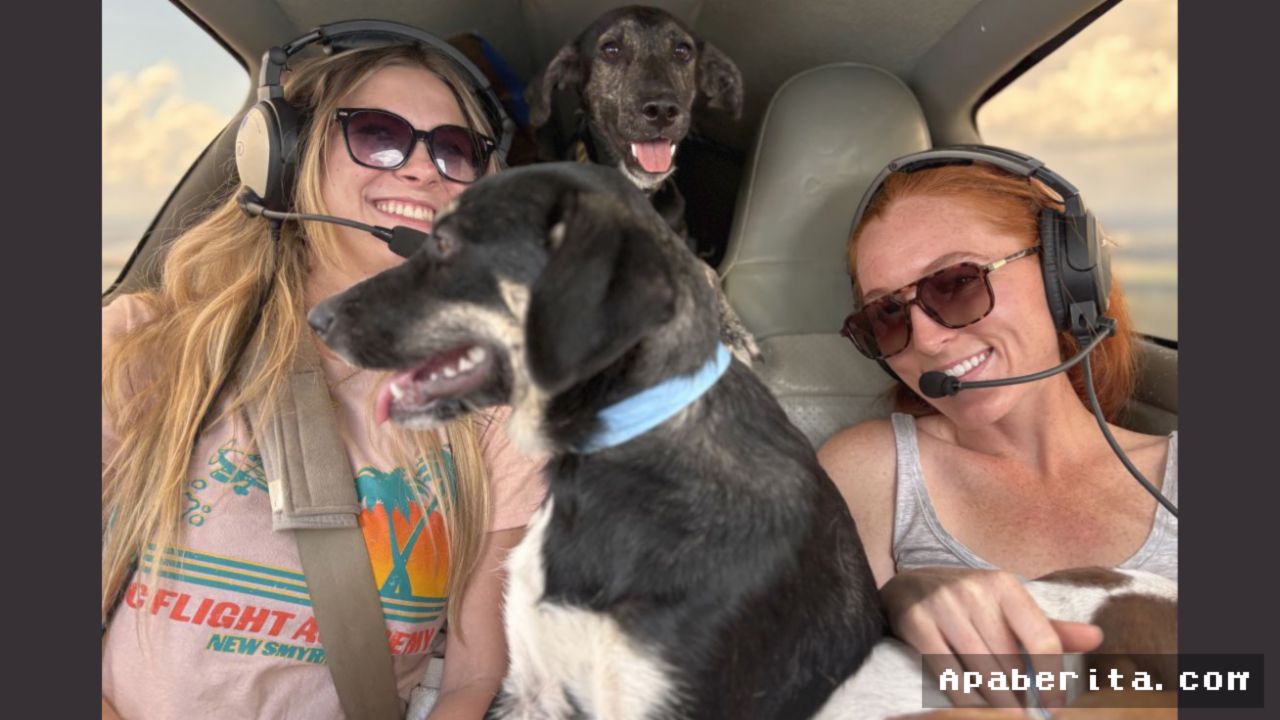 FLORIDA — Pilot Relawan Terbangkan 12 Ribu Hewan dari Penampungan Padat