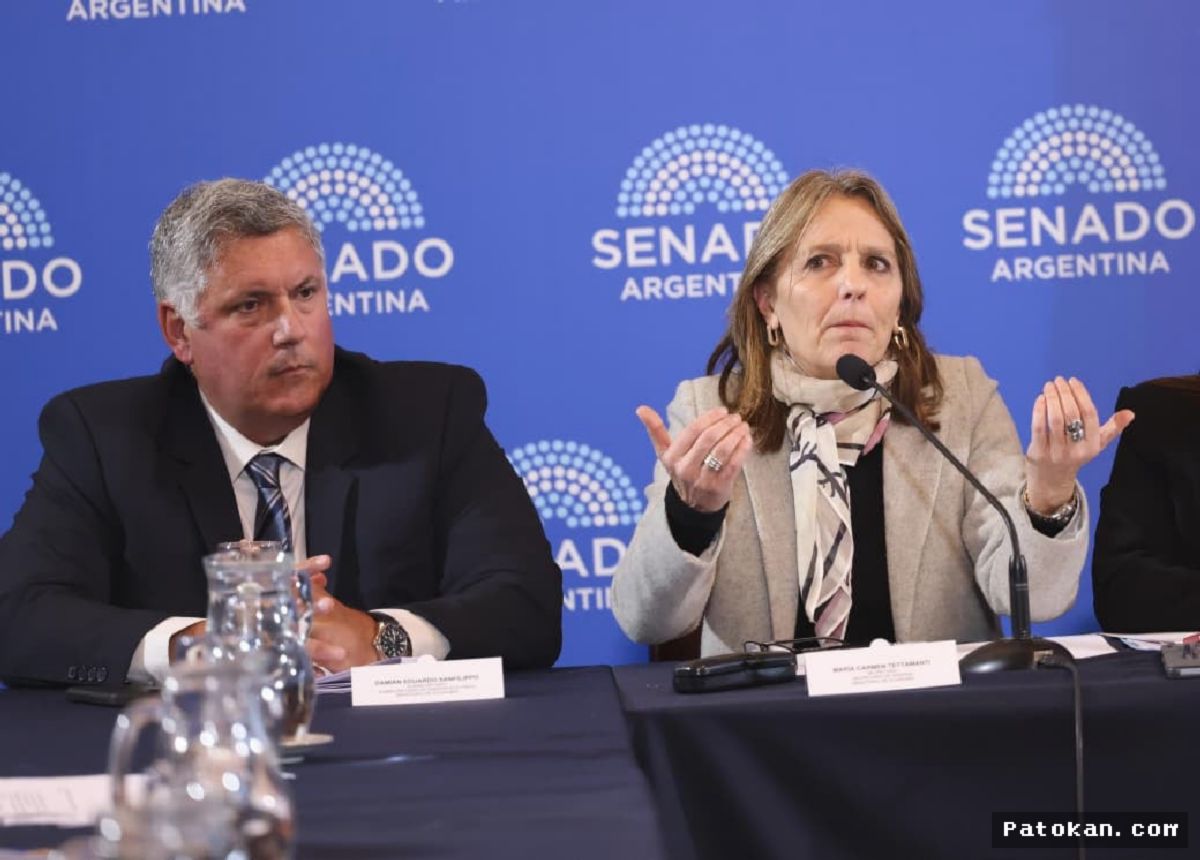 ARGENTINA — Senat Setujui RUU Reformasi Subsidi Gas Zonas Frías