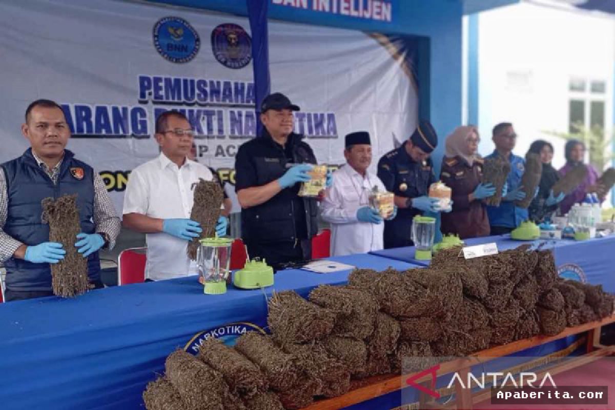 BNNP Aceh Musnahkan 44,2 Kilogram Ganja dan 2,9 Kilogram Sabu