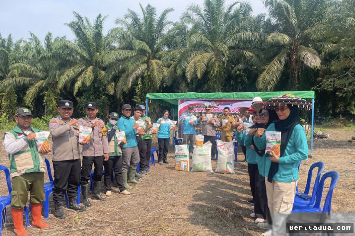 KUTAI TIMUR — SHJ Tanam Jagung di Muara Bengkal Demi Ketahanan Pangan