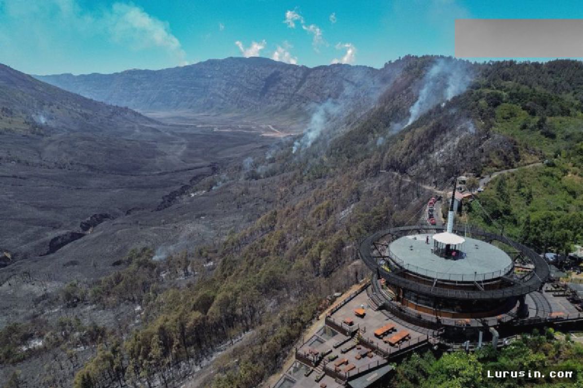 TNBTS Tutup Total Wisata Bromo Akibat Kebakaran Lahan Meluas