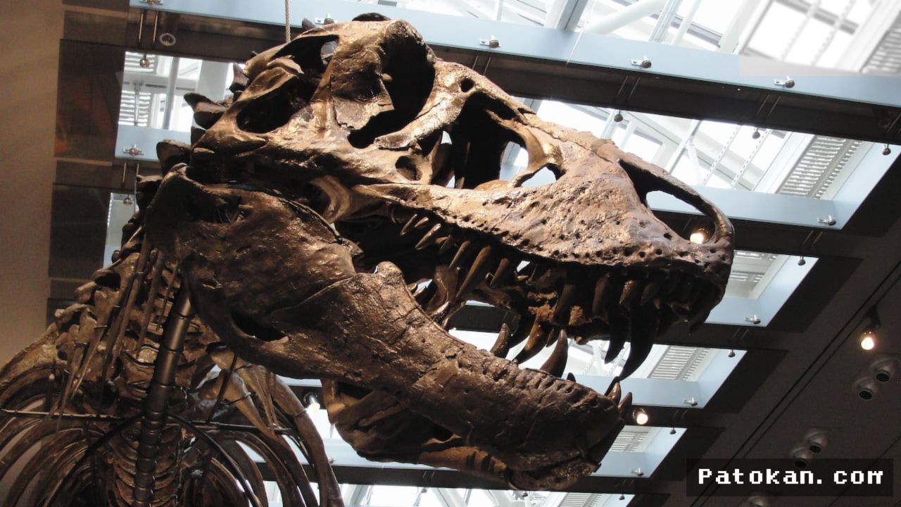 Ilmuwan Berhasil Mengukur Suhu Tubuh T-Rex Lewat Analisis Gigi