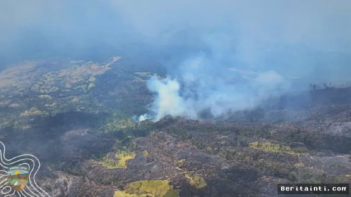 Gunung Ijen: Tiga Titik Api Muncul di Cagar Alam Merapi Ungup-Ungup