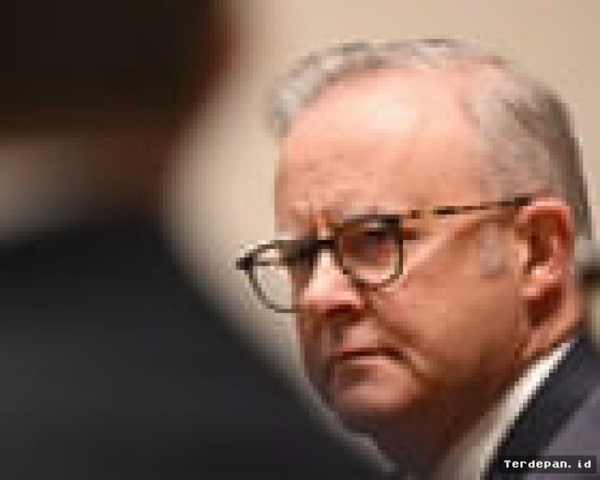 Albanese Bertemu Boss Apple Bahas Reformasi Keamanan Digital Anak