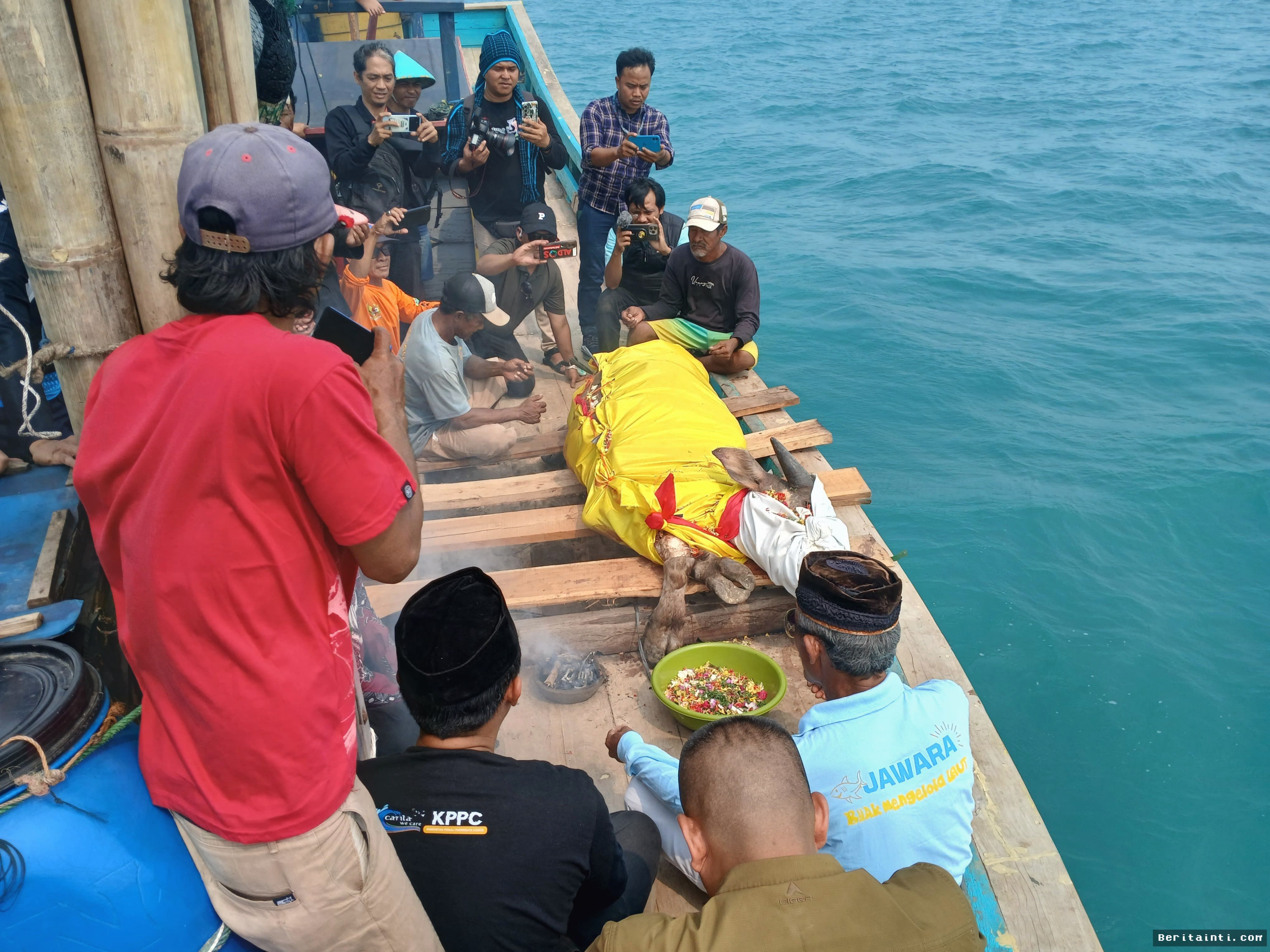 CARITA — Warga Larung Kerbau di Selat Sunda Demi Keselamatan Jurnalis