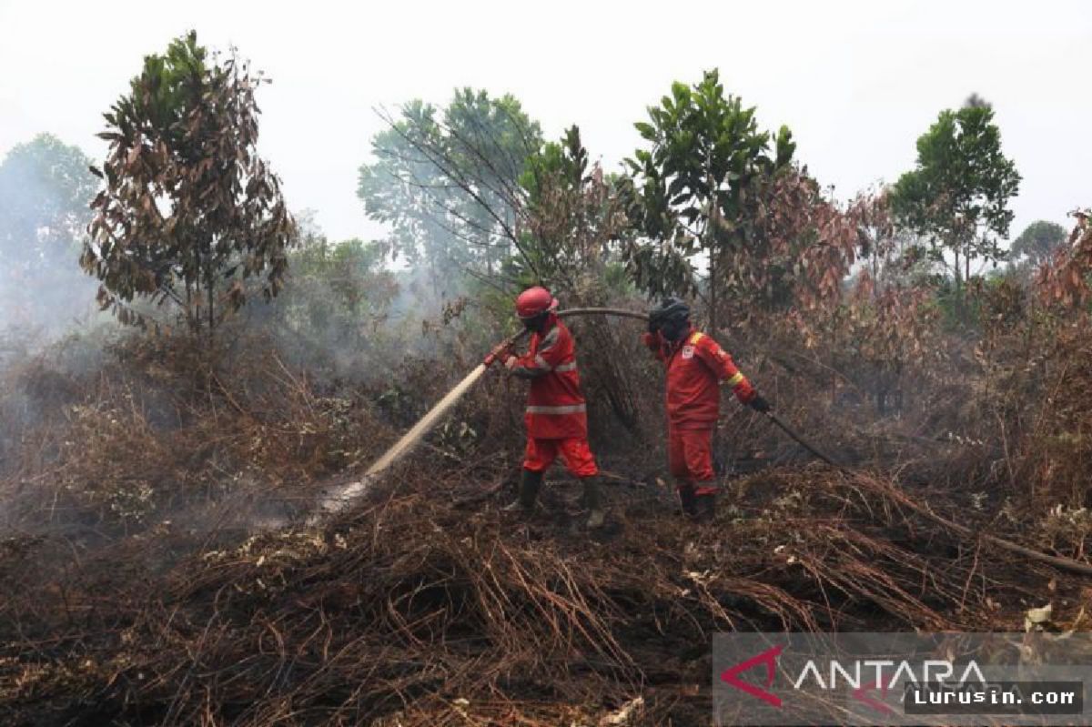 Kalbar Perpanjang Status Tanggap Darurat Asap Hingga 20 September