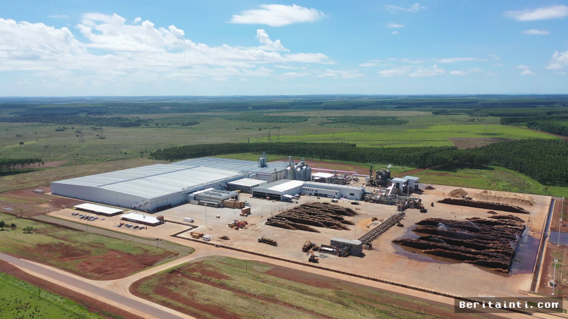 ACON Timber Kaji Ulang Rencana Investasi Akibat Lonjakan Biaya Logistik