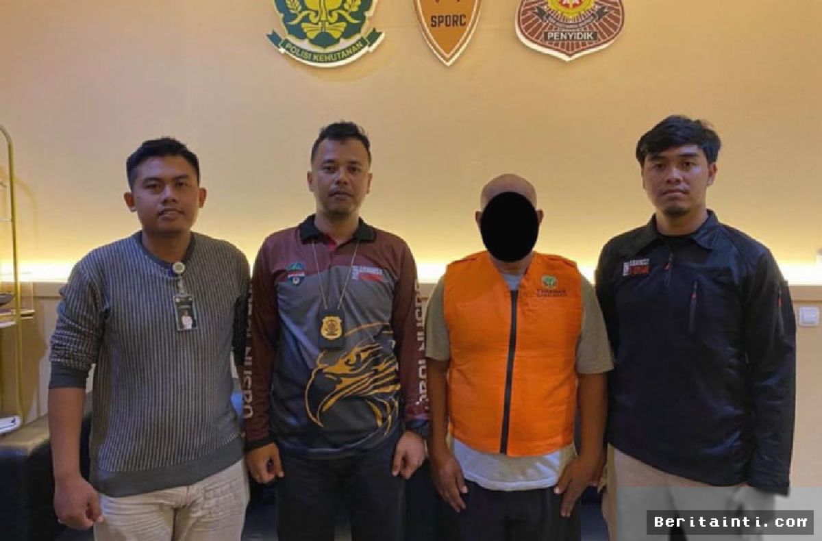 Kemenhut Tangkap Buronan Pemodal Pembalakan Liar Setelah Buron Tiga Bulan