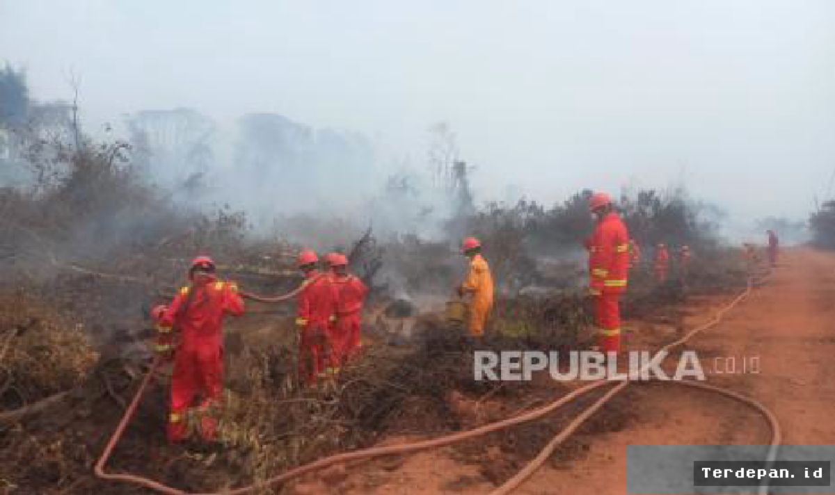 Tim Gabungan Berjibaku Padamkan Karhutla di Kotawaringin Timur Kalteng