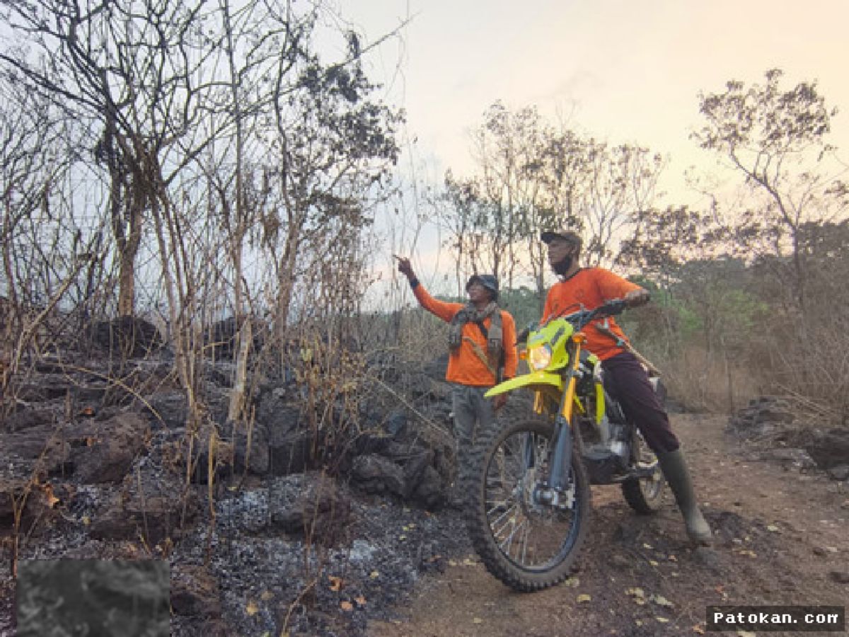 KUNINGAN — Tim Gabungan Berjuang Padamkan Kebakaran Hutan Gunung Ciremai