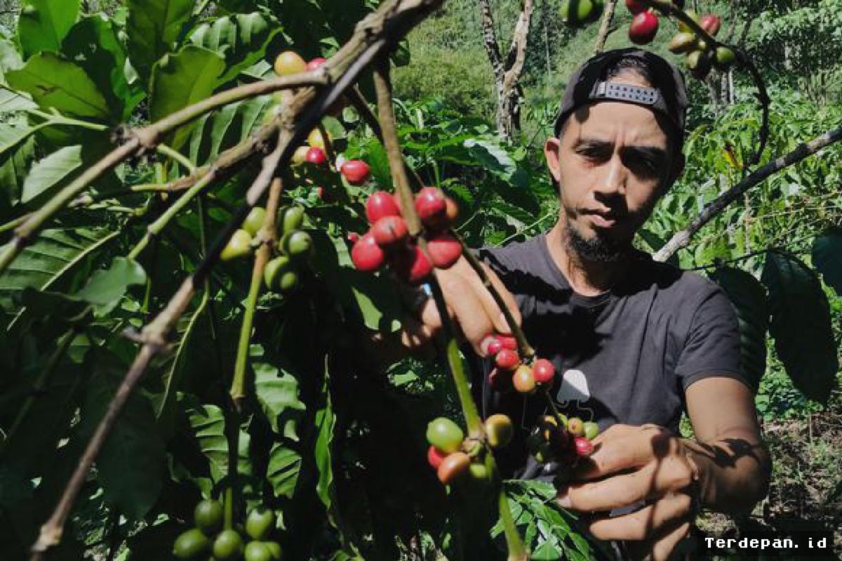 Kabupaten Kepahiang Ekspor Perdana 19 Ton Kopi Bengkulu ke Italia
