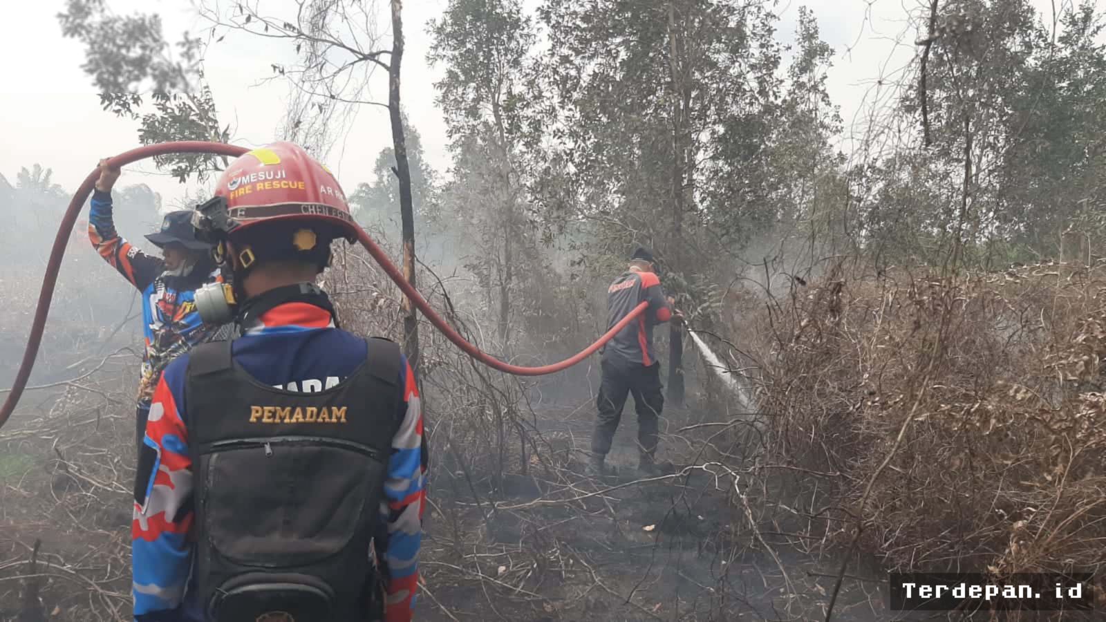 MESUJI — Tiga Kebakaran Lahap Empat Hektare Lahan dalam Sehari