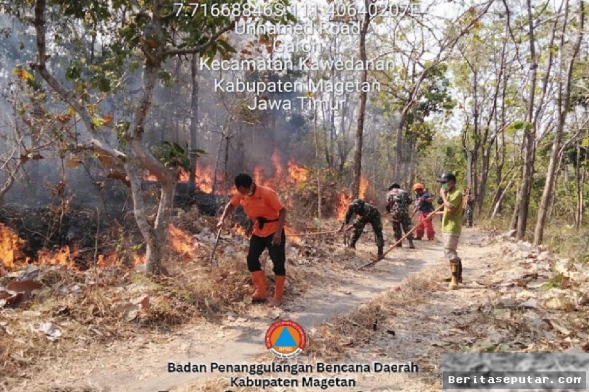 Karhutla Hanguskan 62 Hektare Lahan di Empat Provinsi