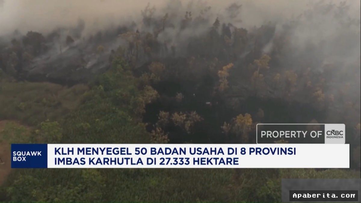 KLH Segel 50 Badan Usaha Imbas Karhutla di Delapan Provinsi