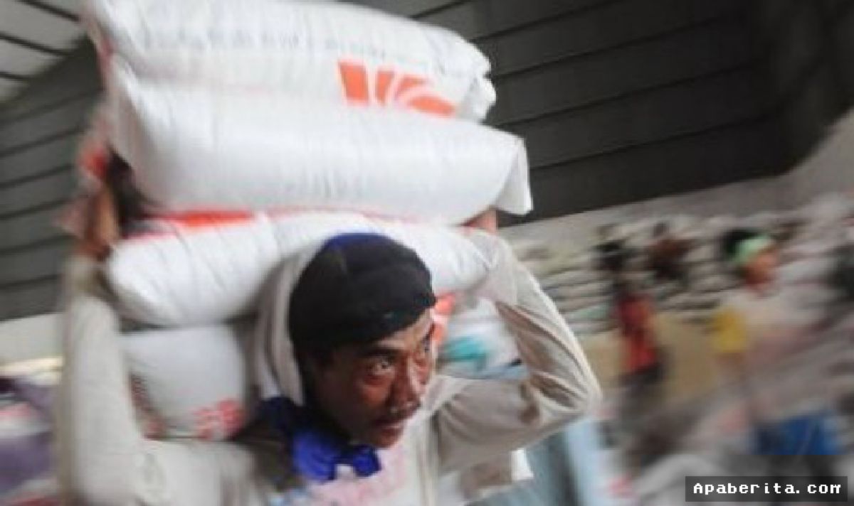 JAKARTA — Beras Fortifikasi Terlarang Masih Dijual Bebas di Toko Daring
