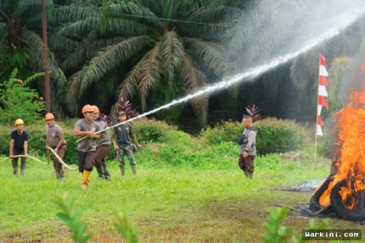 PTPN IV PalmCo Perketat Pencegahan Karhutla di Sumatra dan Kalimantan