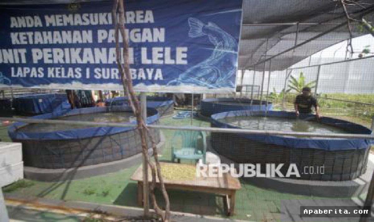 JAKARTA — Kemenimipas Sukses Gencarkan Program Ketahanan Pangan Nasional