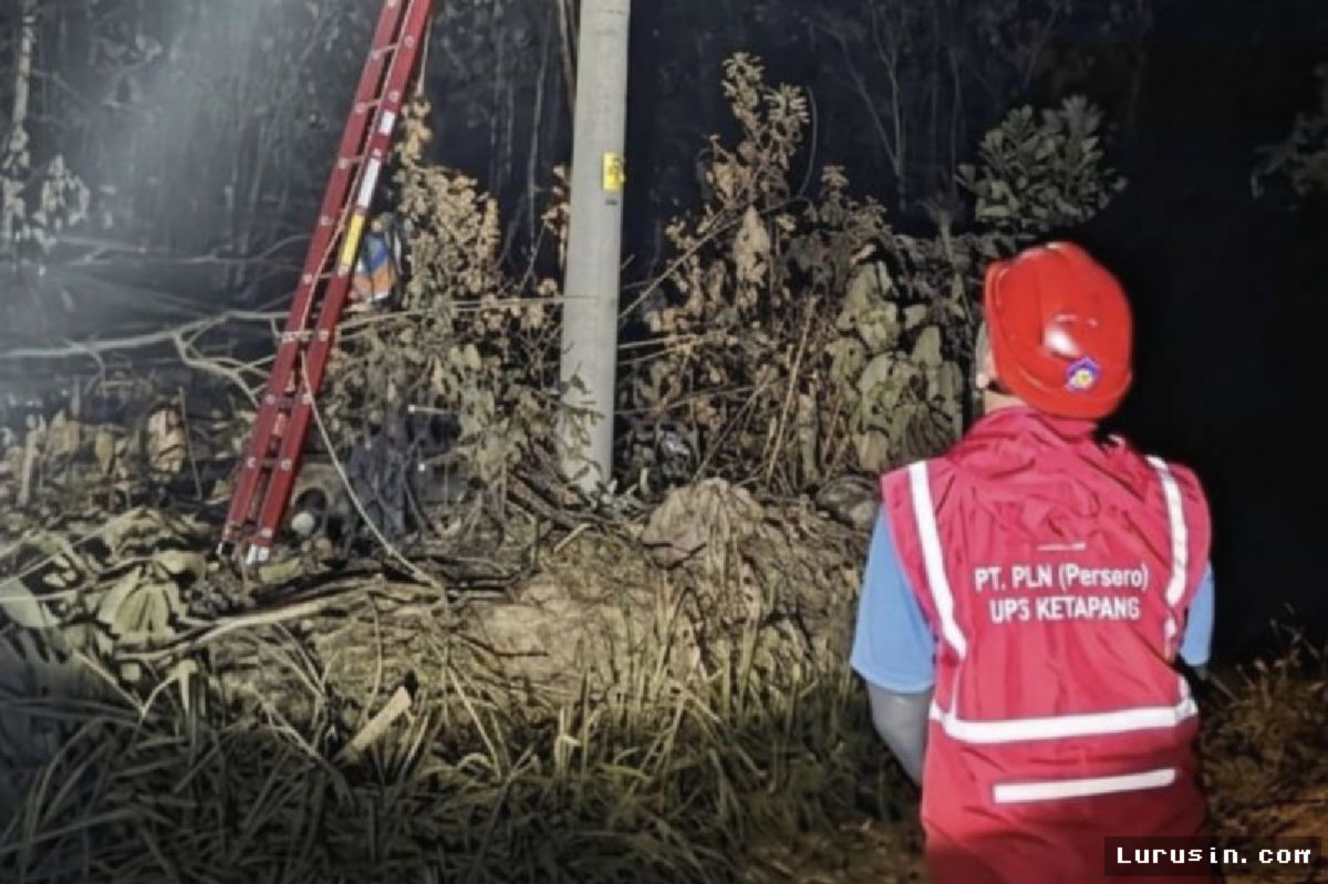PLN Ketapang Pacu Pemulihan Jaringan Listrik Terdampak Karhutla