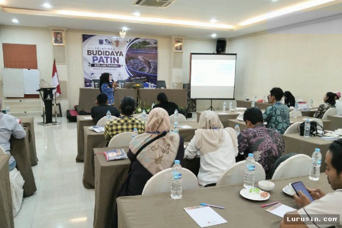 Mataram — Dinas Perikanan Latih 25 Kelompok Budidaya Patin Kolam Terpal