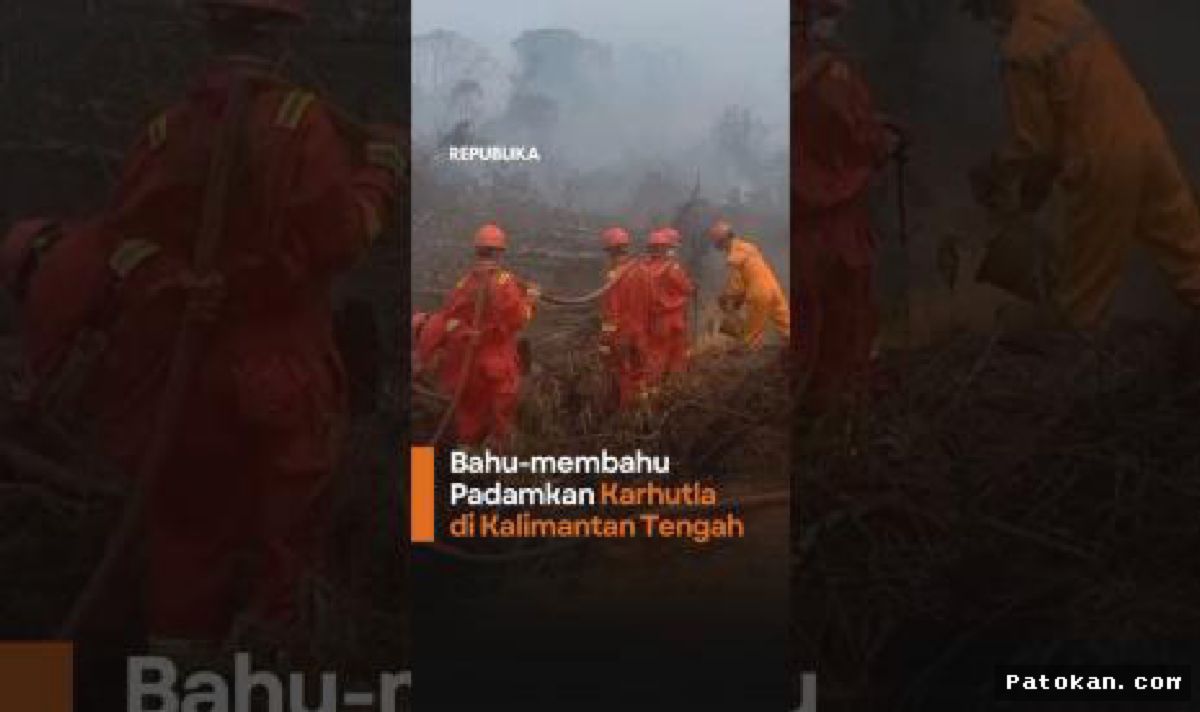 Tim Gabungan Berjibaku Padamkan Kebakaran Hutan Meluas di Kalimantan Tengah