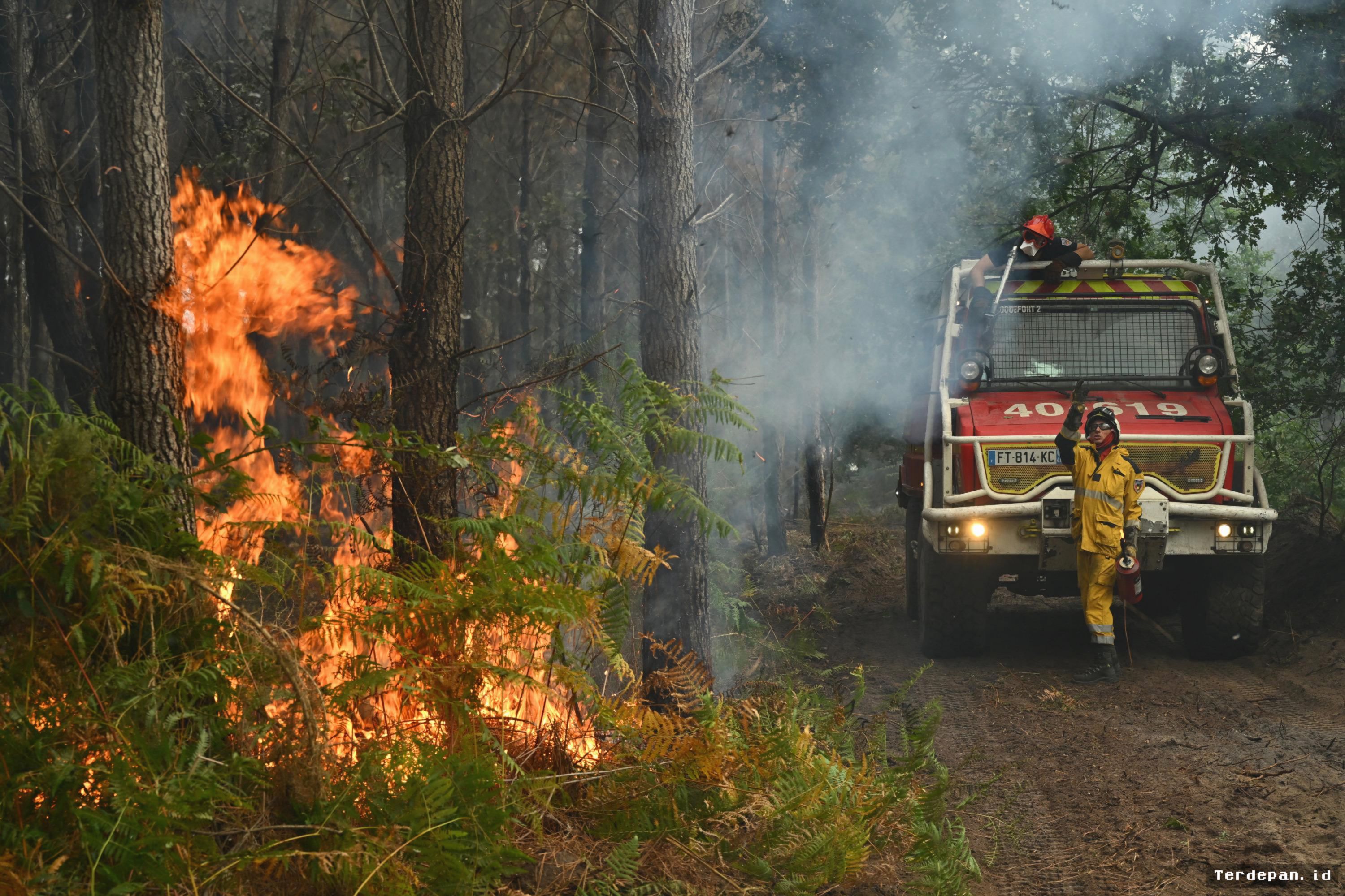 Kebakaran Panel Surya di Landes Prancis Hanguskan 100 Hektare Lahan