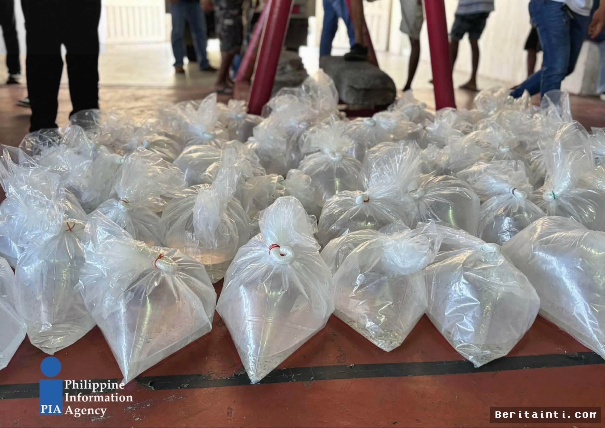 BFAR Bagikan 100 Ribu Bibit Nila Genjot Produksi Perikanan Ilocos