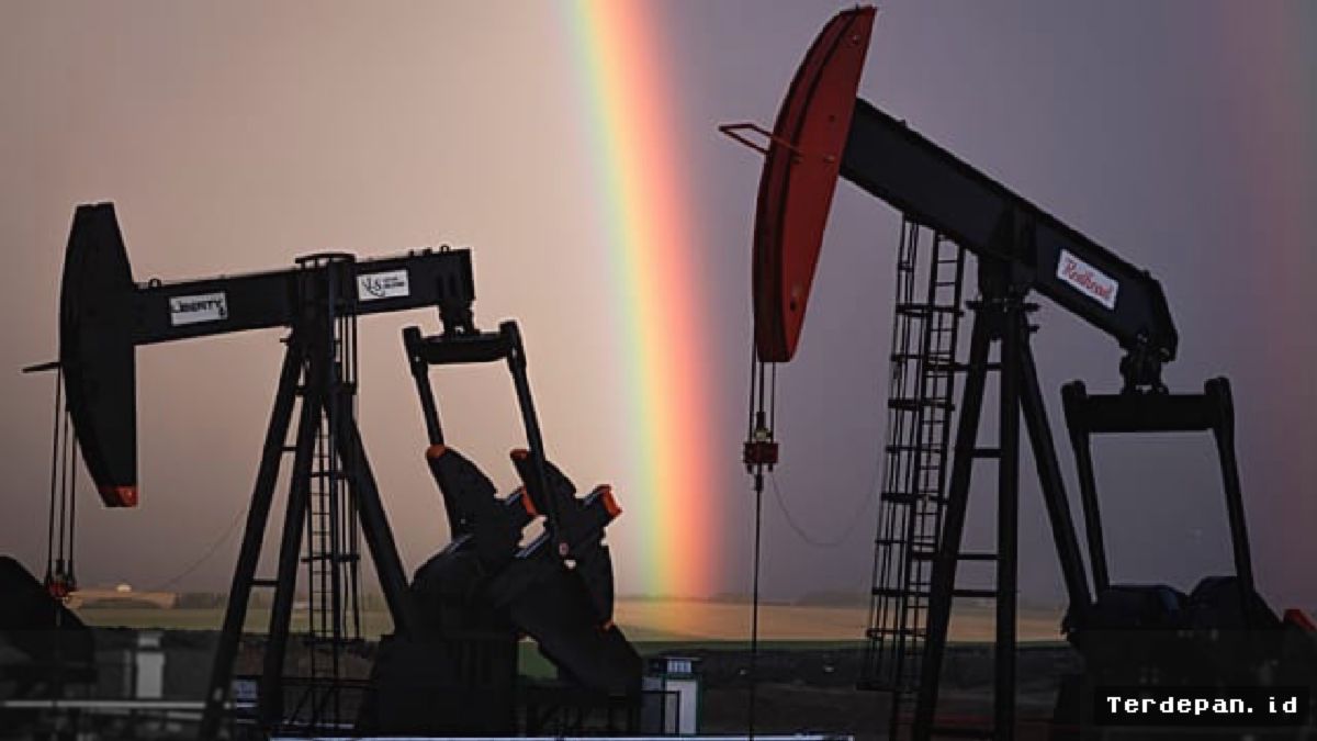 Colossal Energy Gaet Investor Veteran Warren Irwin Ekspansi ke Afrika