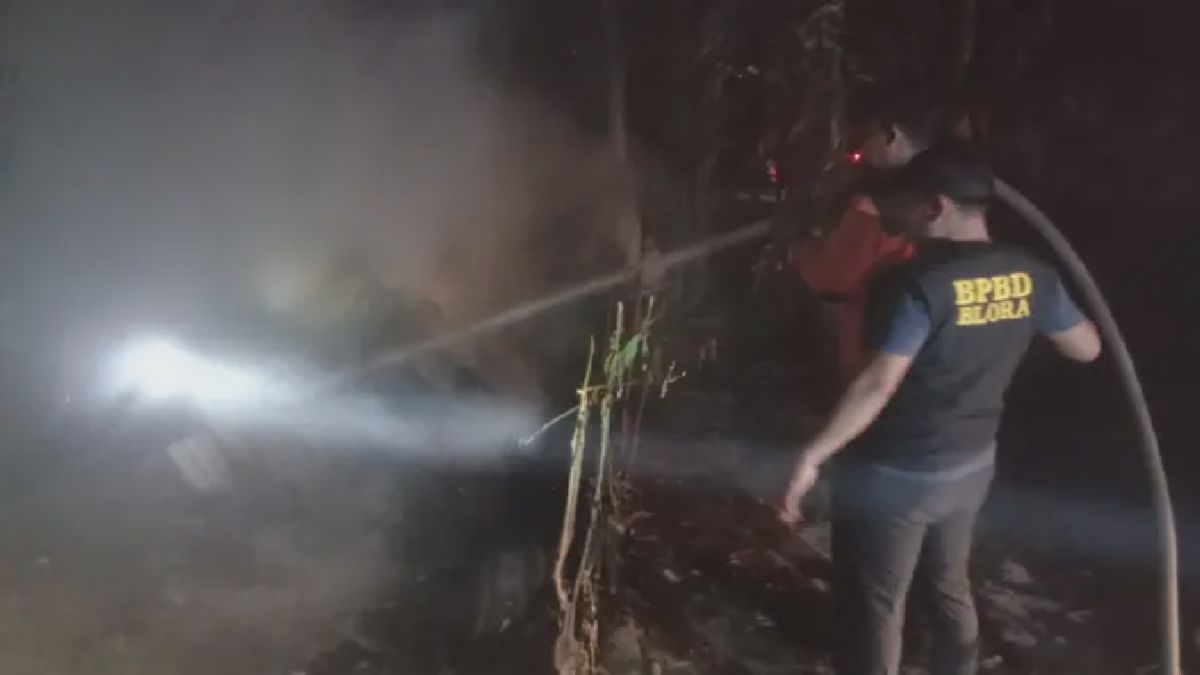 BLORA — Kebakaran Kandang Ayam di Kunduran Hanguskan Ribuan Ternak