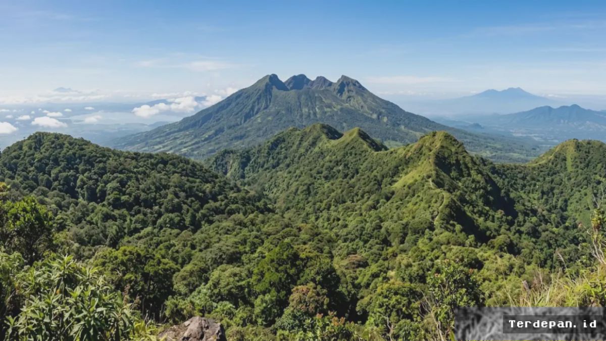 PLTP Gunung Ungaran Dikembangkan untuk Perkuat Transisi Energi Bersih