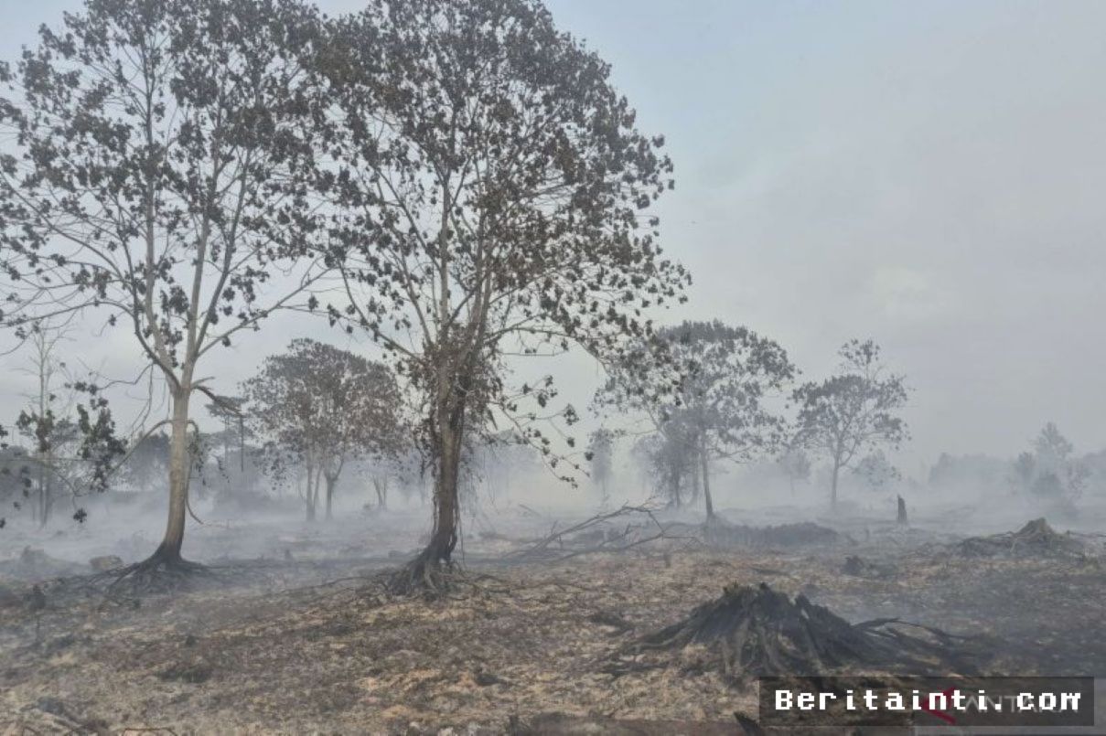 Gubernur Jambi Ungkap 80 Persen Karhutla Diduga Disengaja