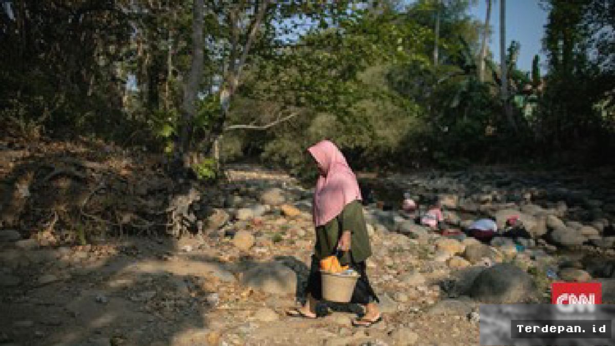 BMKG: 17 Provinsi Alami Kekeringan Ekstrem, Yogyakarta Terlama Tanpa Hujan