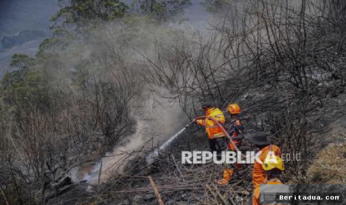 Menhut Raja Juli Izinkan Alat Berat Masuk Taman Nasional demi Karhutla