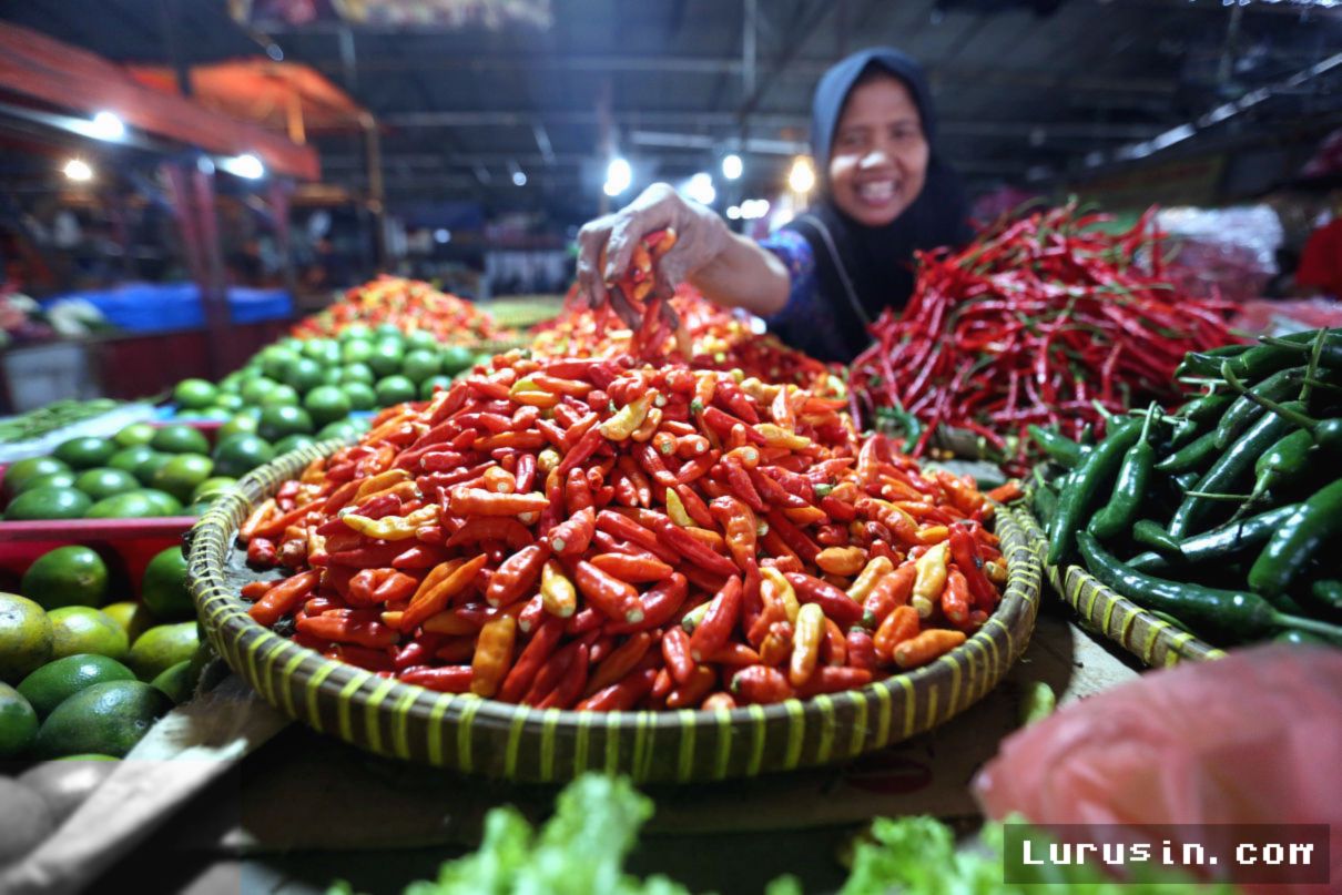 Gorontalo: Harga Cabai Rawit Melonjak Tajam Tembus Rp 170 Ribu