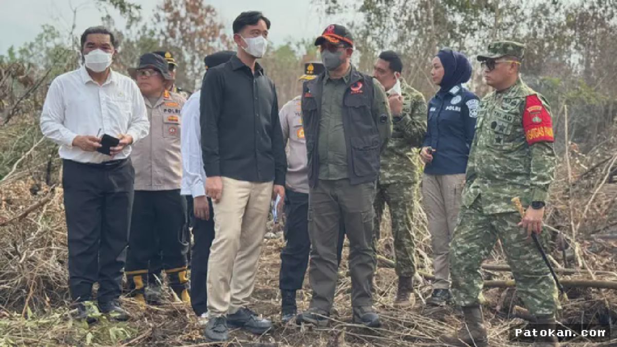 Wapres Gibran Instruksikan BNPB Perkuat Penanganan Karhutla Kalsel